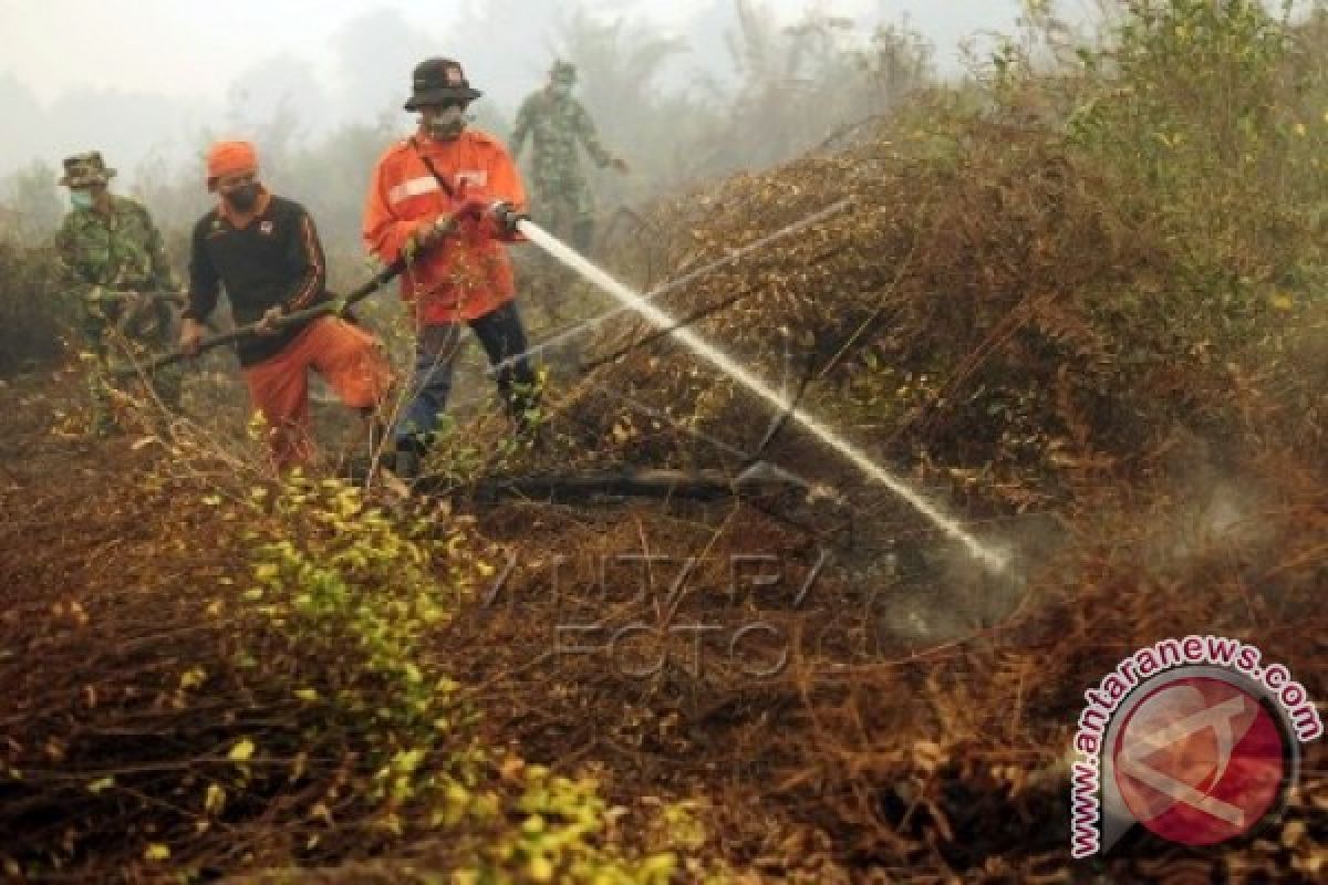 Polisi tetapkan tiga tersangka pembakaran hutan Jambi