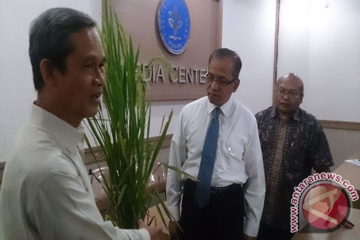 Menristekdikti Luncurkan Program Start-up Industri Benih IPB-3S