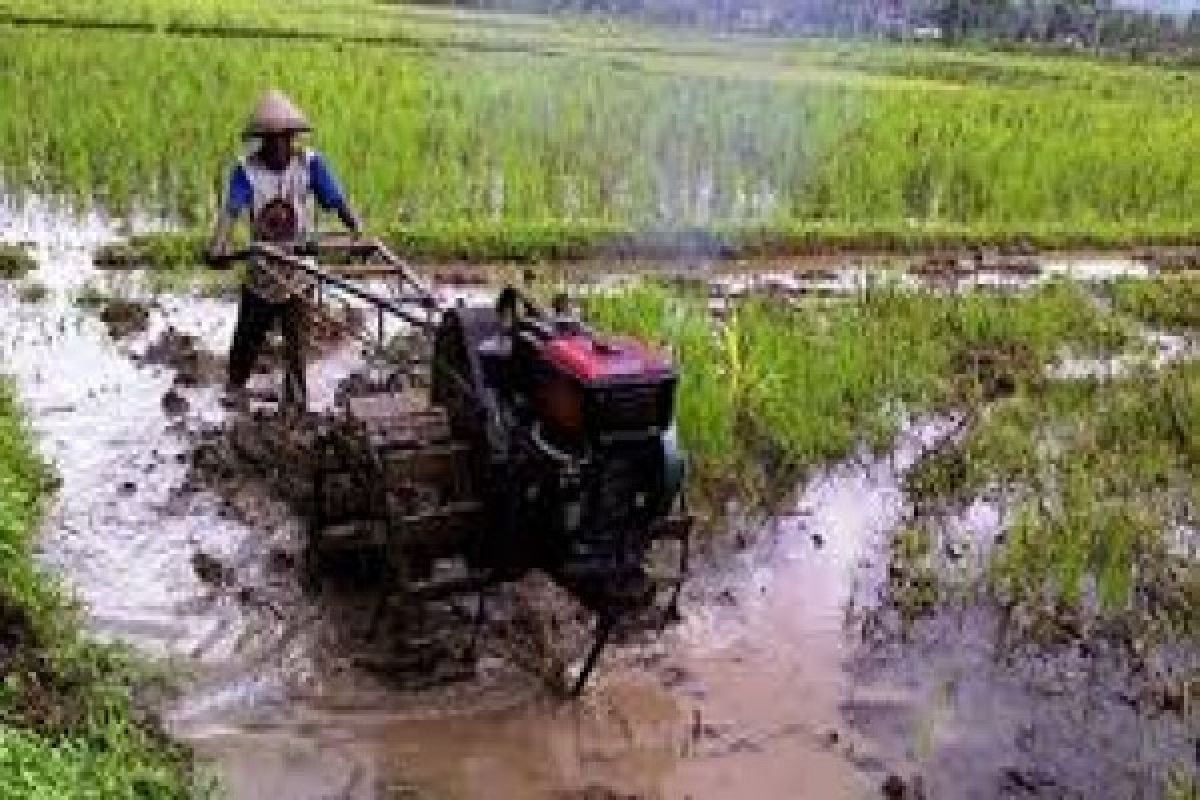 KTNA Banten Imbau Petani Lakukan Percepatan Tanam