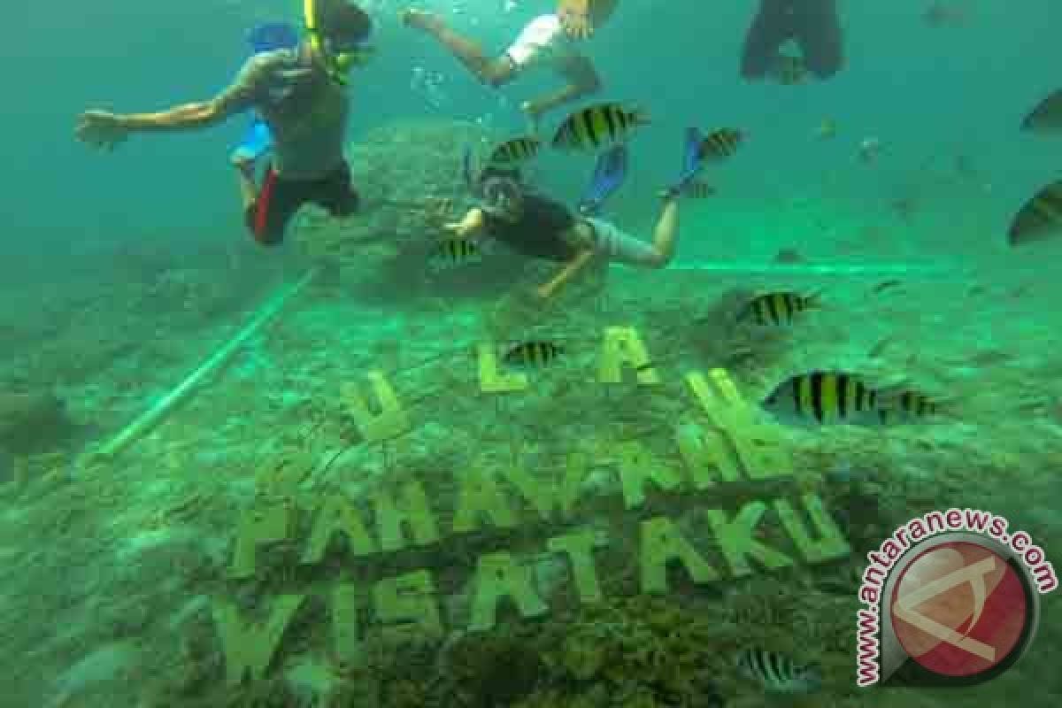 Wisata bawah laut Pahawang dipadati wisatawan