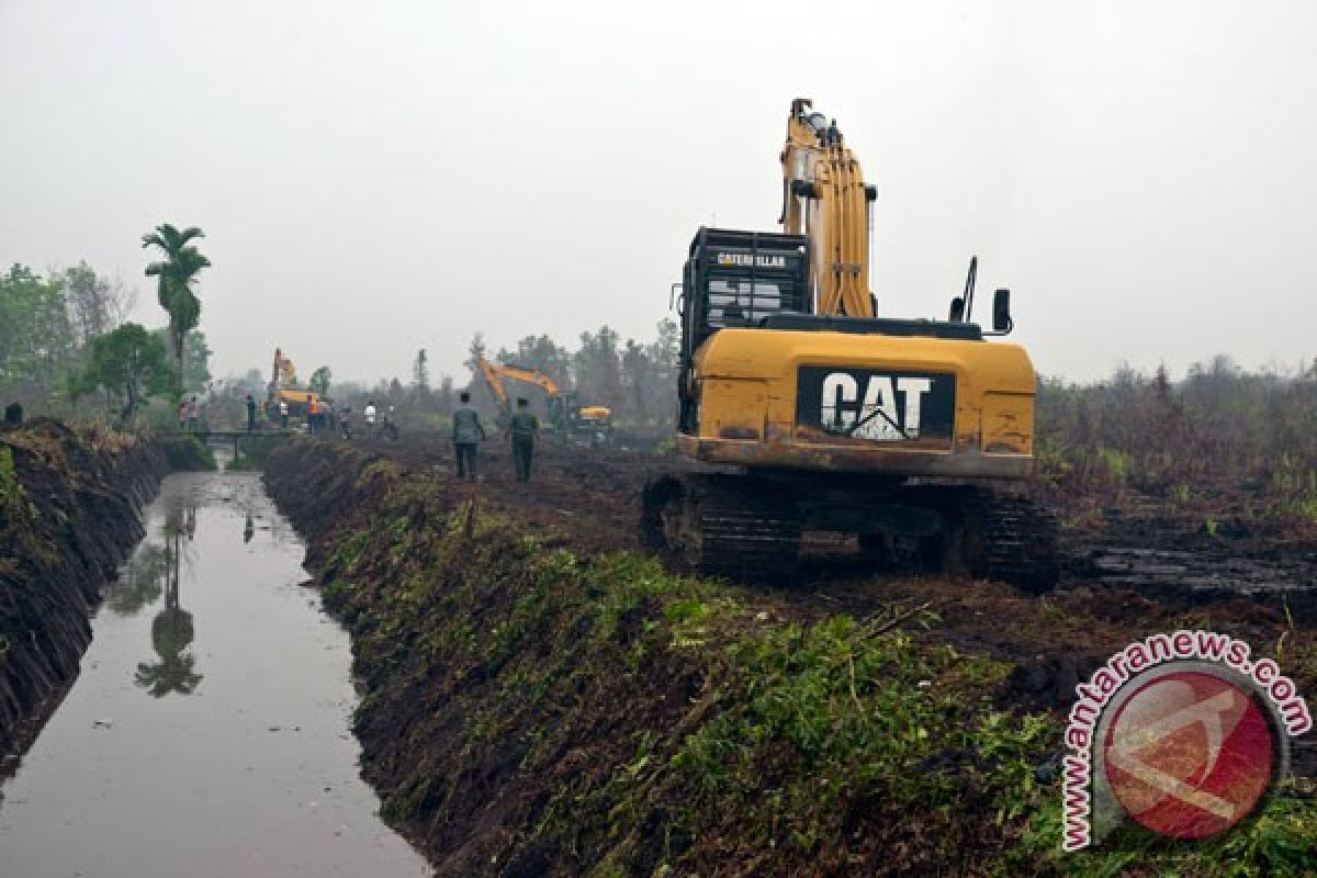 Pemerintah undang investor bantu restorasi gambut