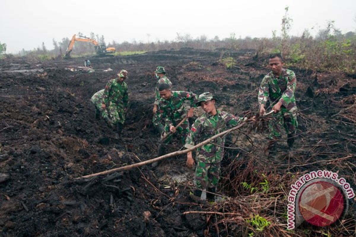 Riau segera miliki laboratorium gambut internasional