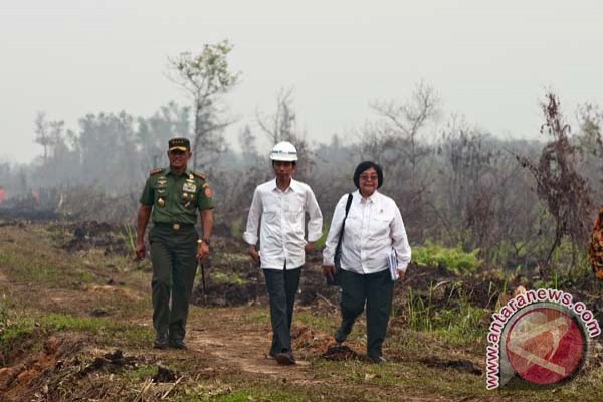 Presiden ingatkan pencegahan kebakaran hutan hars berkelanjutan