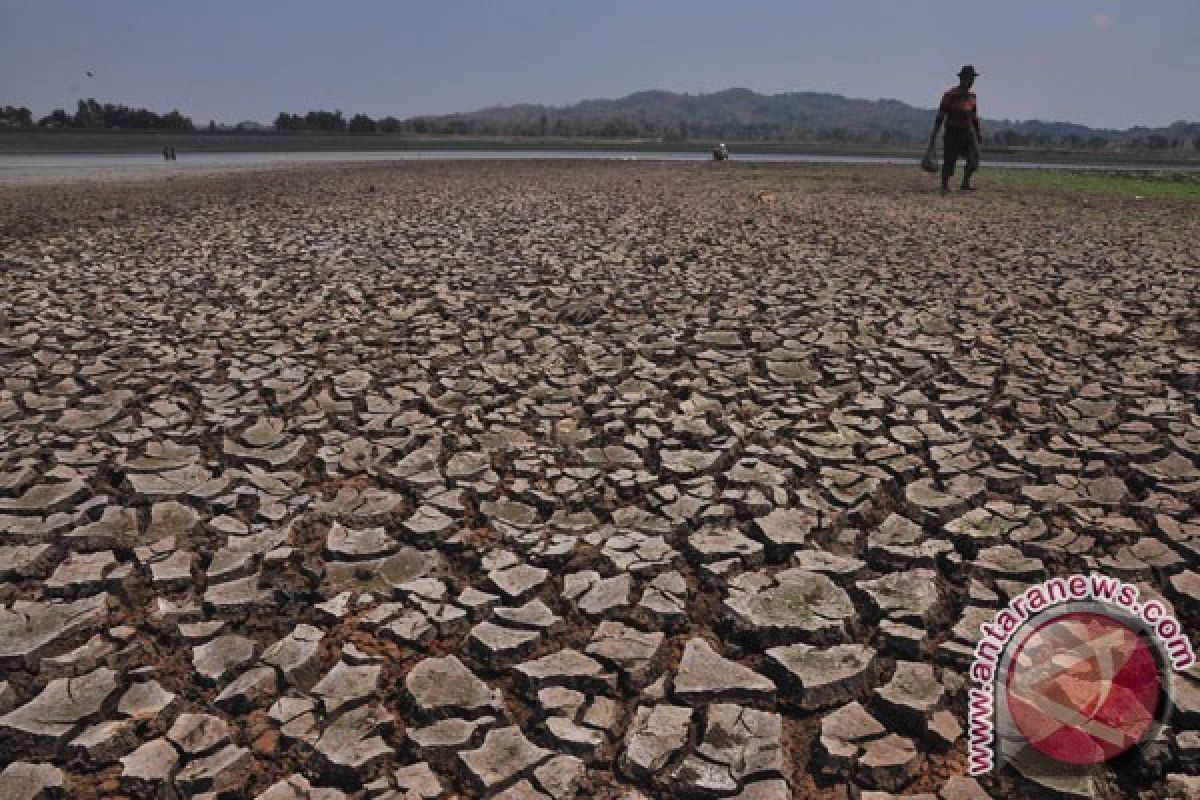 Cara mengatasi dampak El Nino