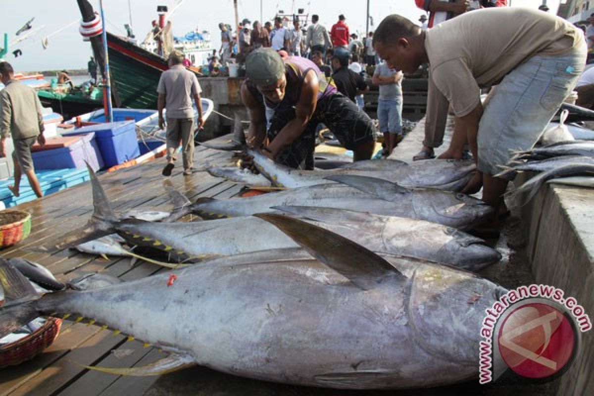 Pelabuhan perikanan Natuna beroperasi pertengahan 2016