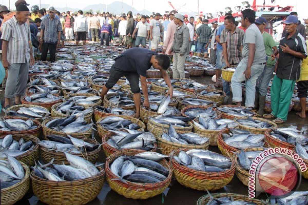 Italia akan masuk sektor pengolahan ikan Indonesia