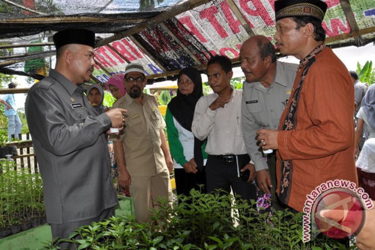 Kebun Plasma Tingkatkan Ekonomi Rakyat