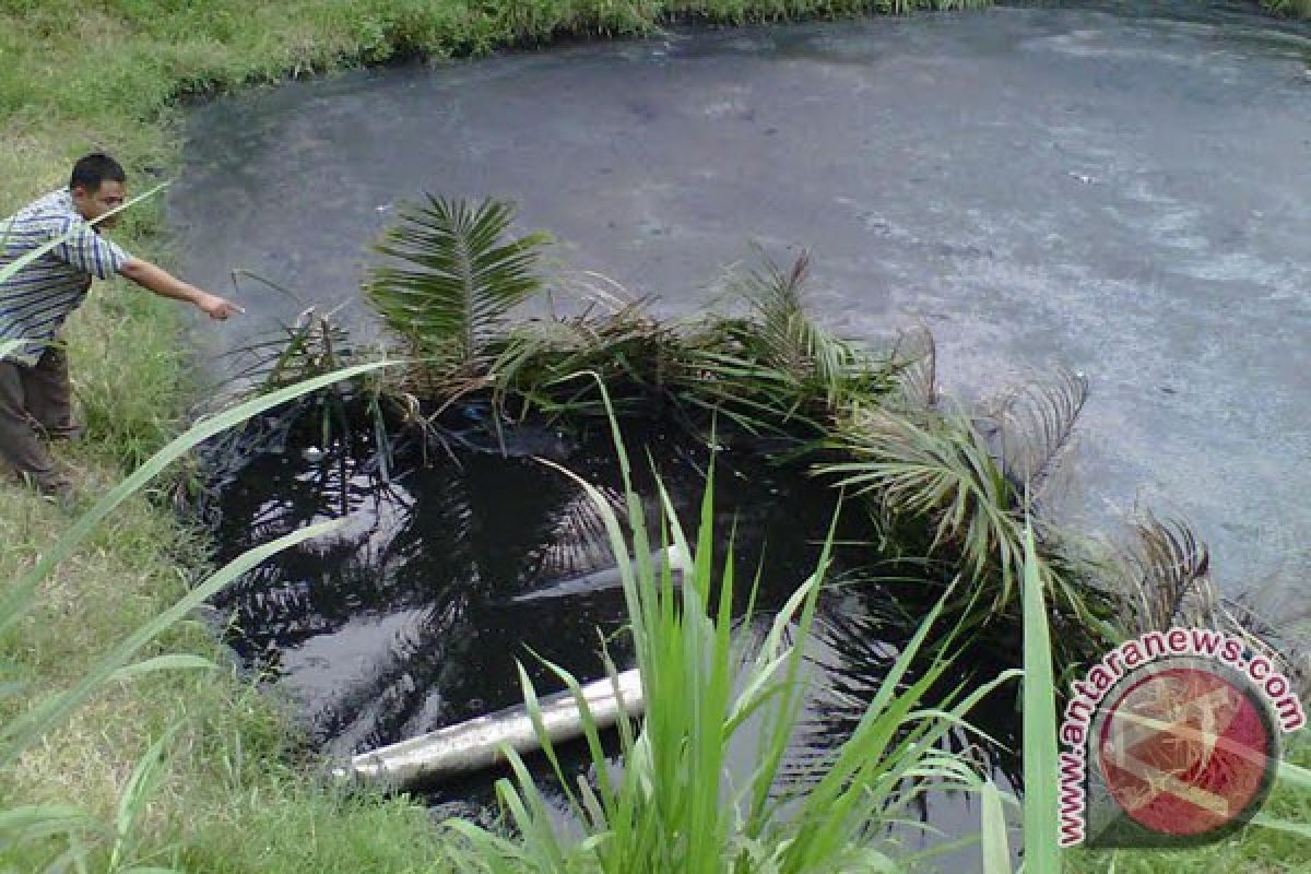 Petani Mukomuko manfaatkan limbah sebagai pupuk sayuran