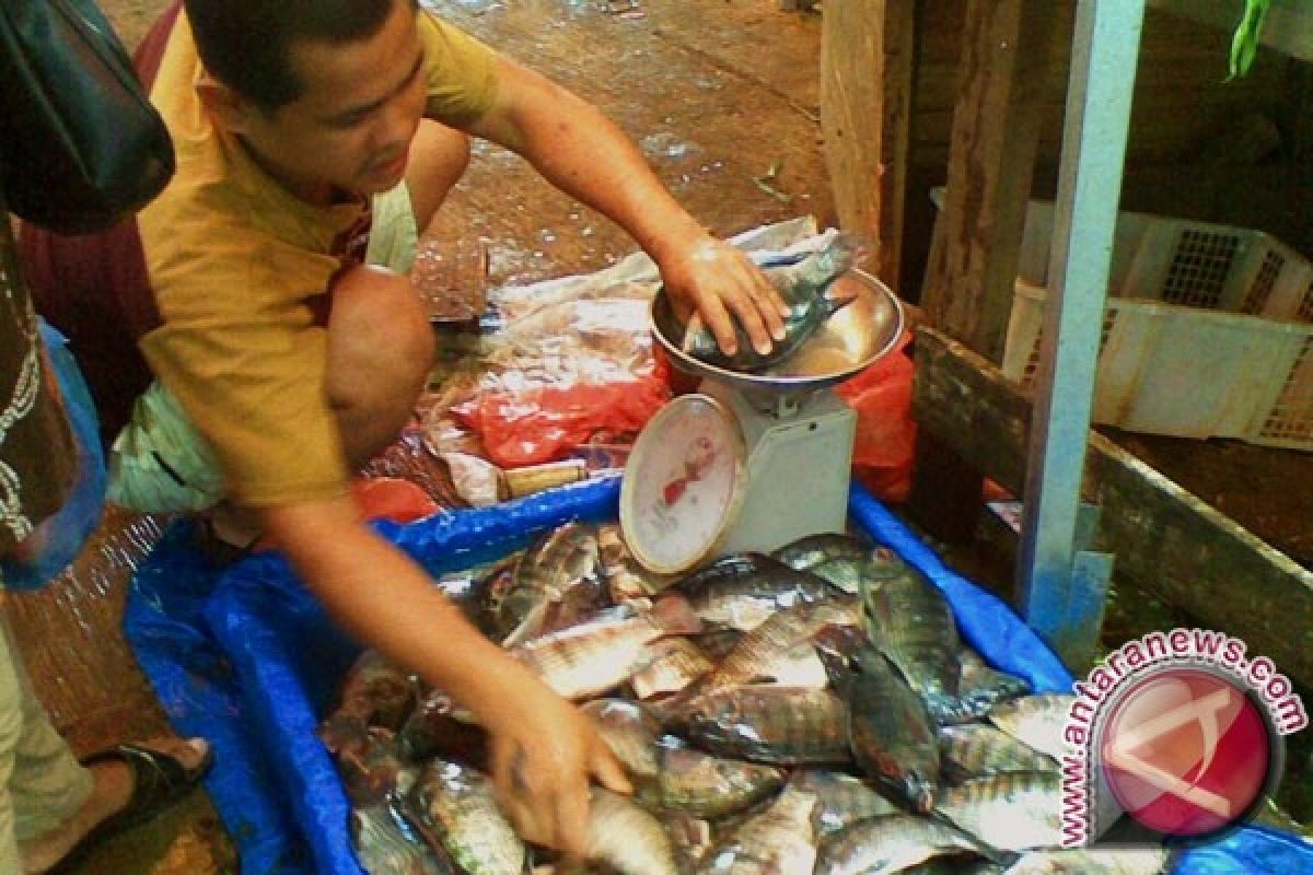 Harga Ikan di Toboali Naik