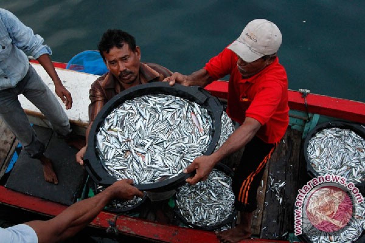 Sabang diminta fungsikan gudang beku ikan