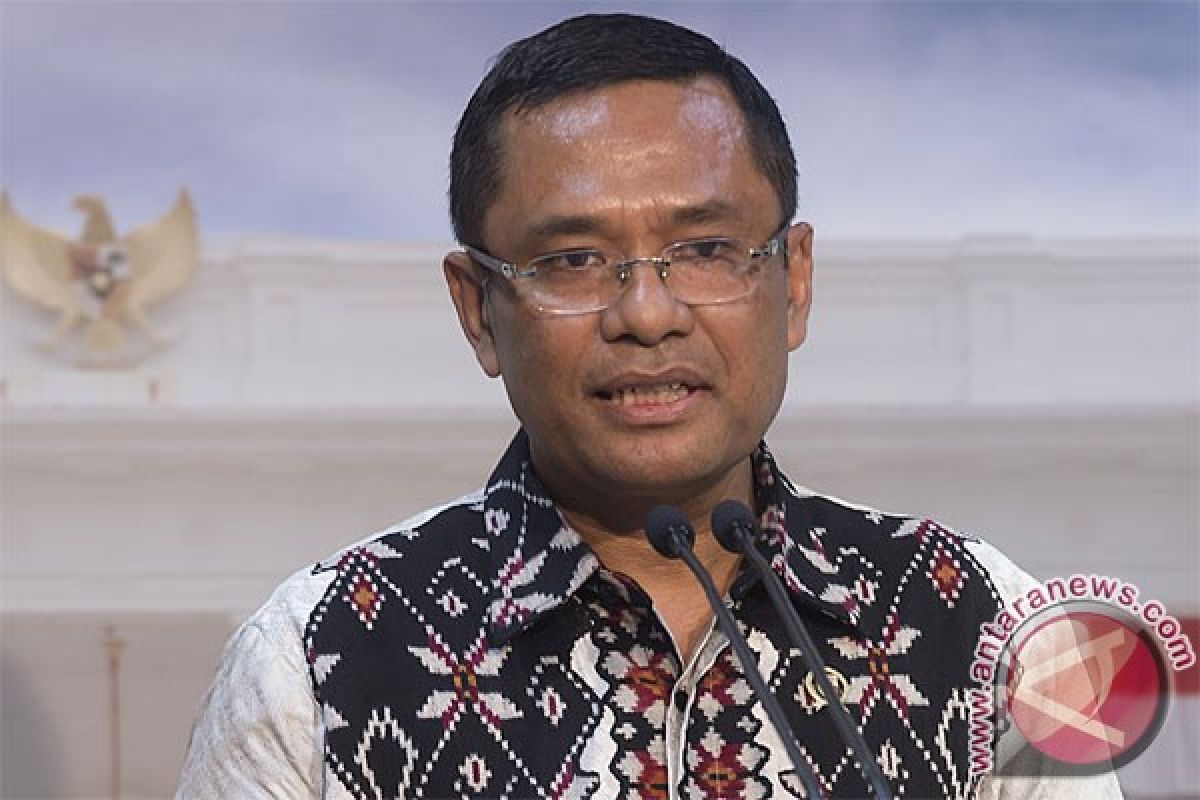 Indonesian govt keen to establish partnership with EU: Minister