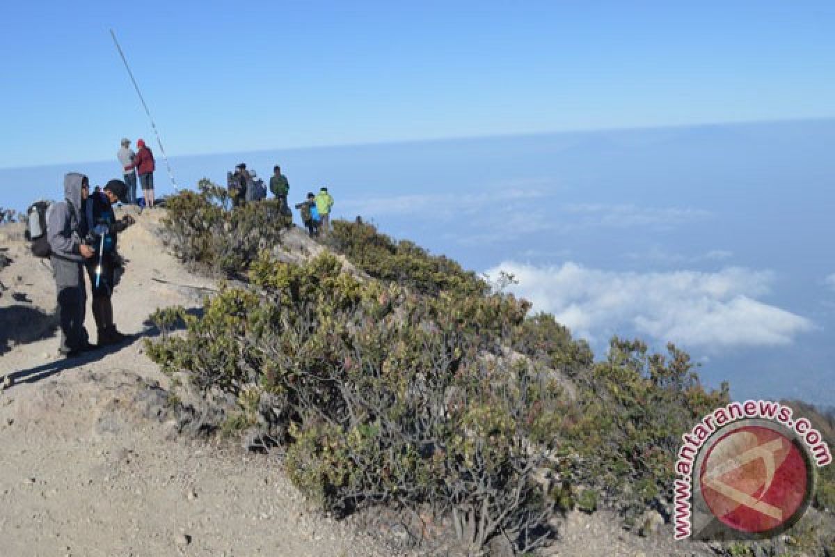 Ribuan Pendaki Rayakan Kemerdekaan di Gunung Lawu