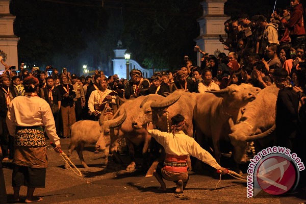 Kirab pusaka Keraton Surakarta menarik ribuan orang ke jalan