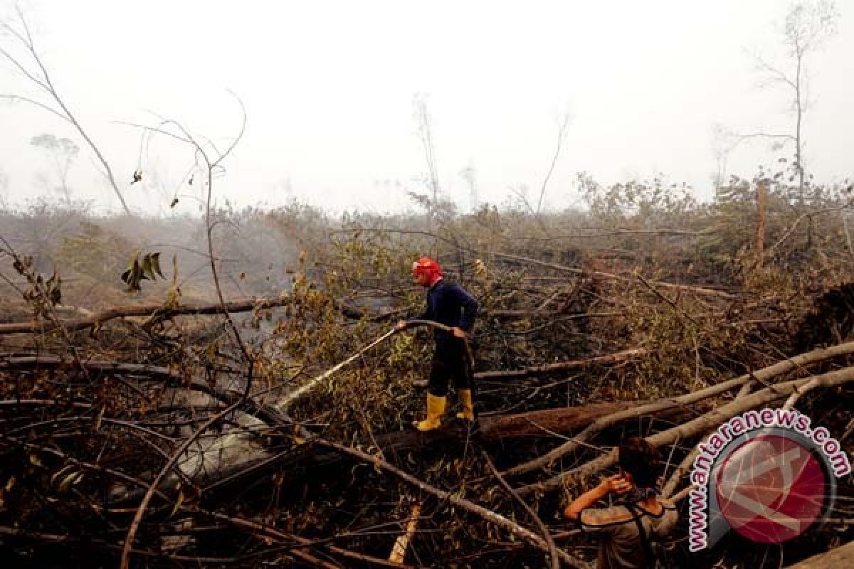 BRG sebut 102 hektare gambut rusak di Sumsel sudah dibasahi