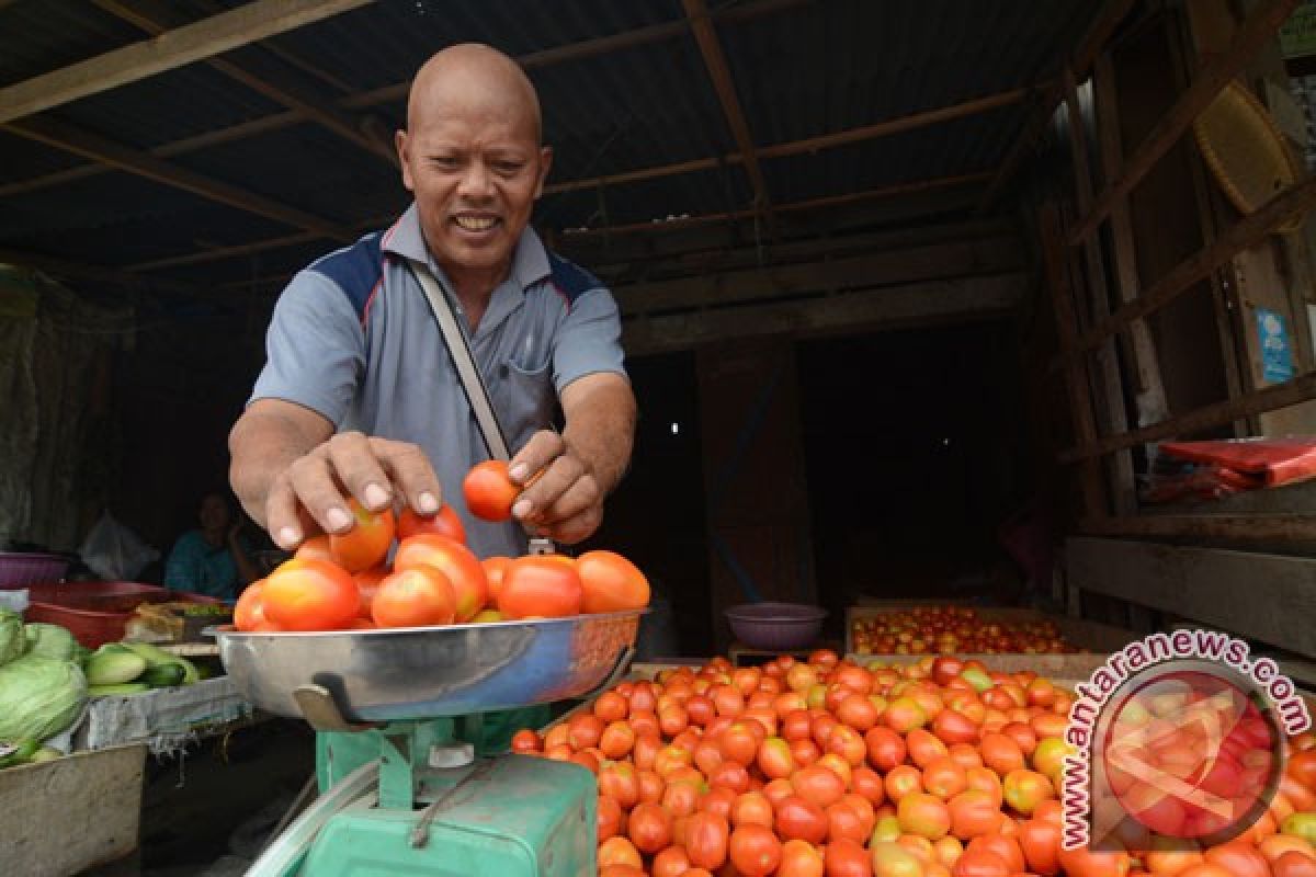 Harga tomat di Sorong melonjak jadi Rp35.000