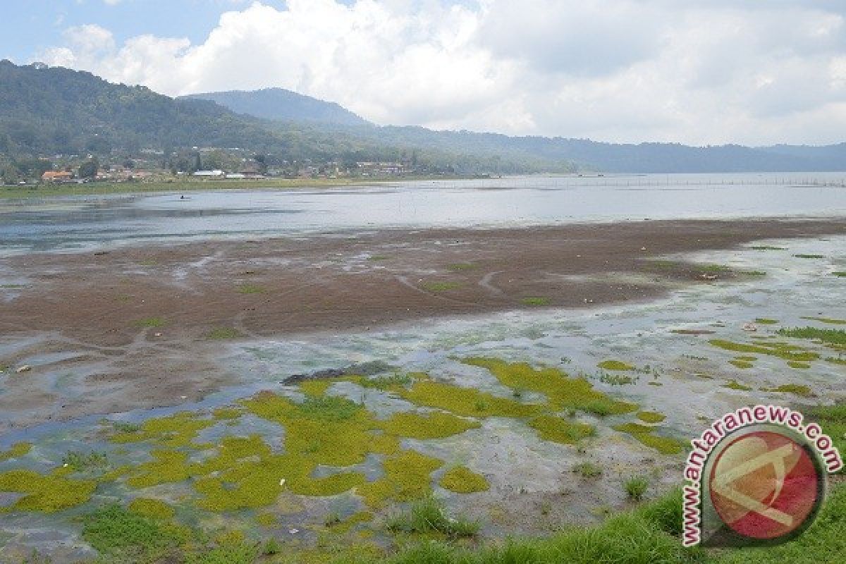 Petani Pancasari Resah Debit Air Danau Turun