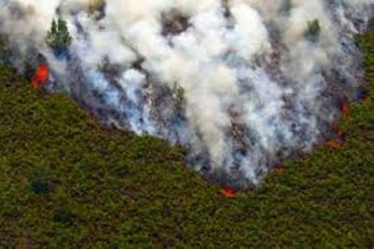 Jumlah titik api di Papua dan Maluku bertambah banyak
