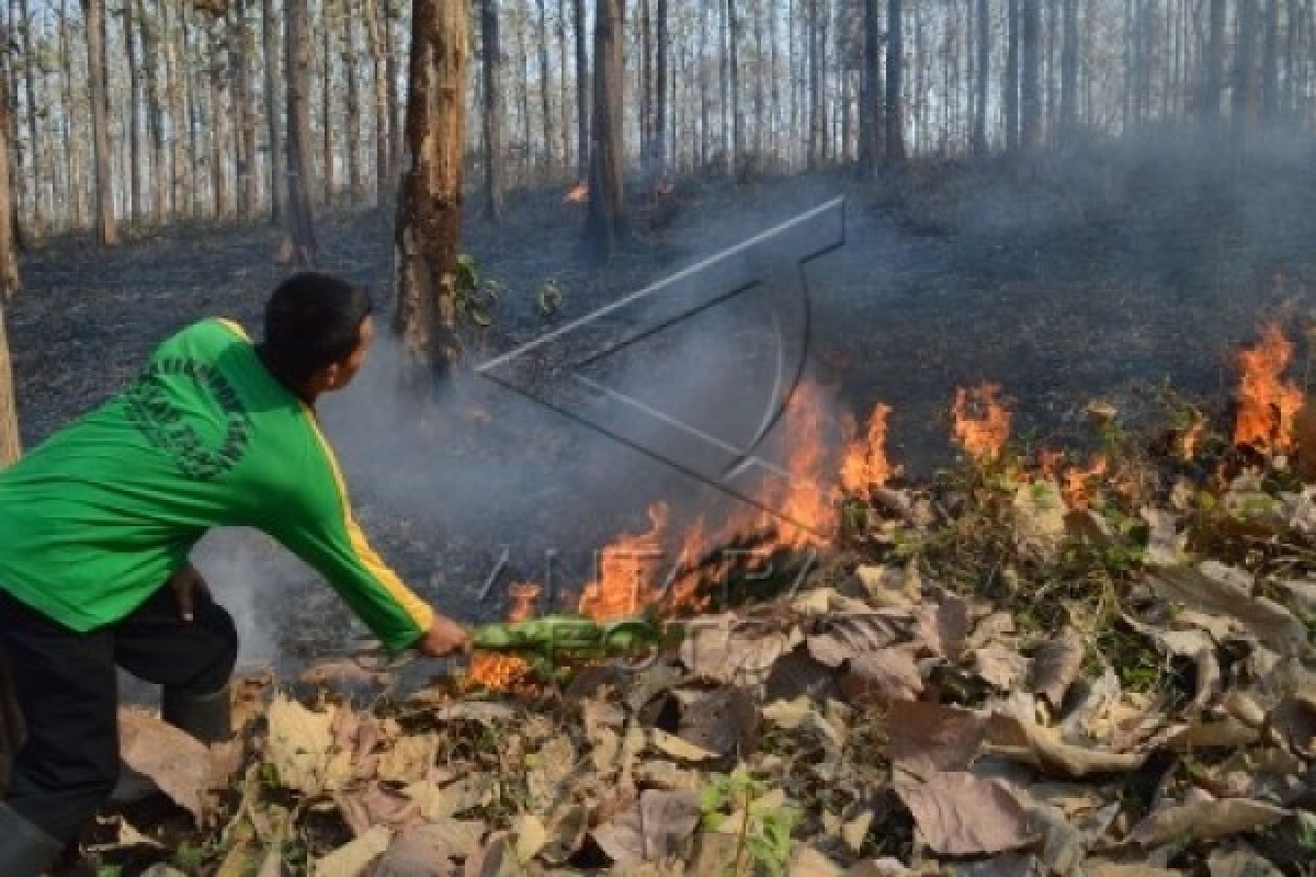 BTNGM Melakukan Patroli Antisipasi Kebakaran Musim Kemarau