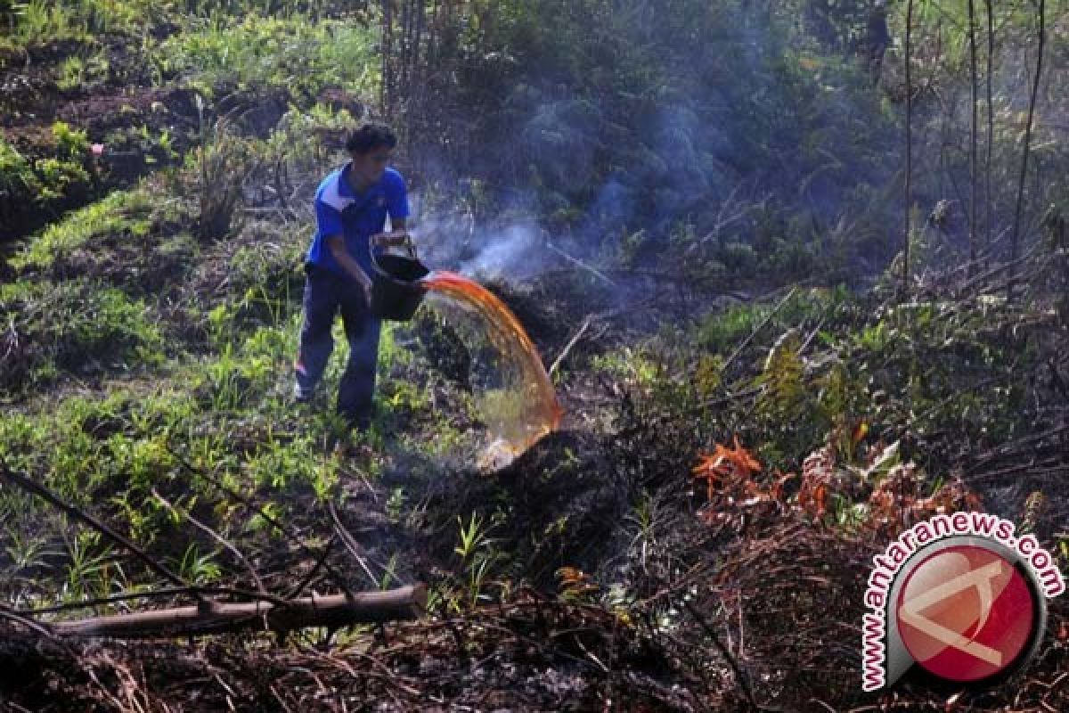 Kebakaran Tahura Sultan Adam Capai 700 Hektare 