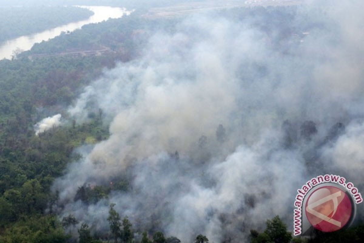BNPB: kebakaran hutan dan lahan masih meluas