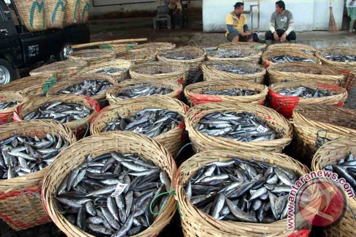 Nelayan Trenggalek Keluhkan Jatuhnya Harga Ikan