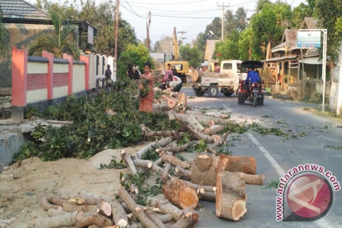 Warga Protes Penebangan Ratusan Pohon Kota Gorontalo