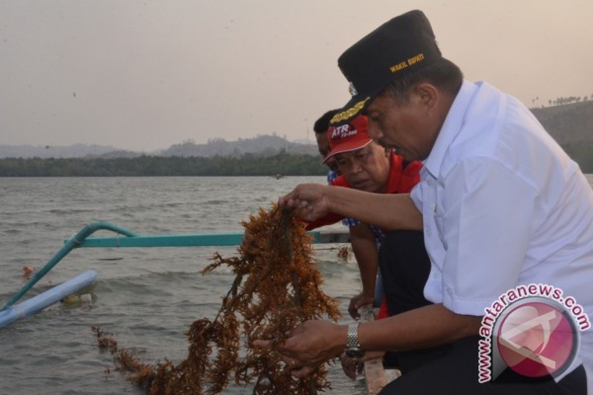 Gorontalo Utara Akan Kembangkan Teknologi Perikanan Tangkap