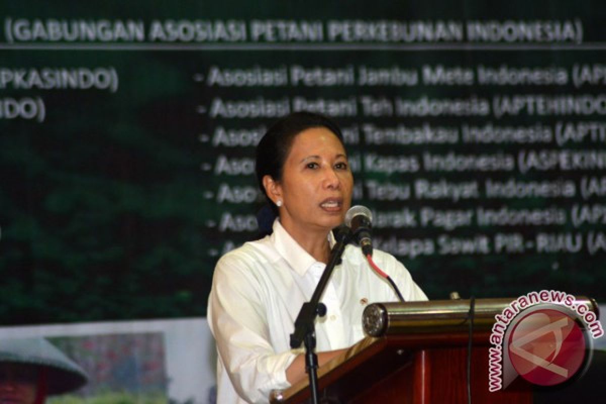 Menteri BUMN: Pabrik Semen di Rembang Beroperasi April