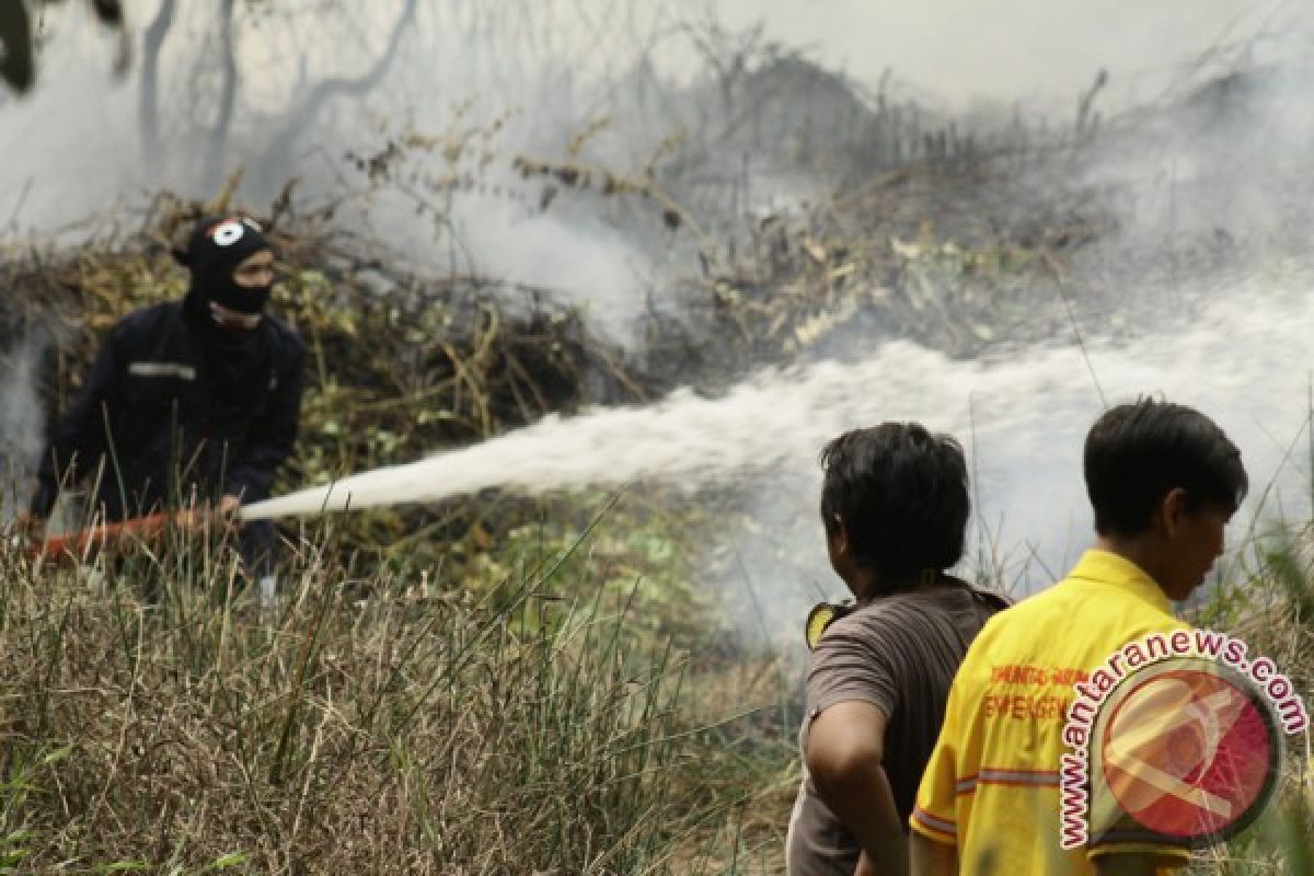 Prioritaskan Pencegahan Kebakaran Hutan