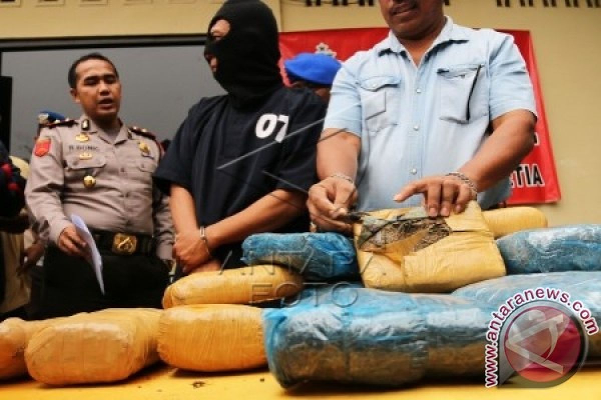 Polisi tangkap dua pengedar 25 kilogram ganja