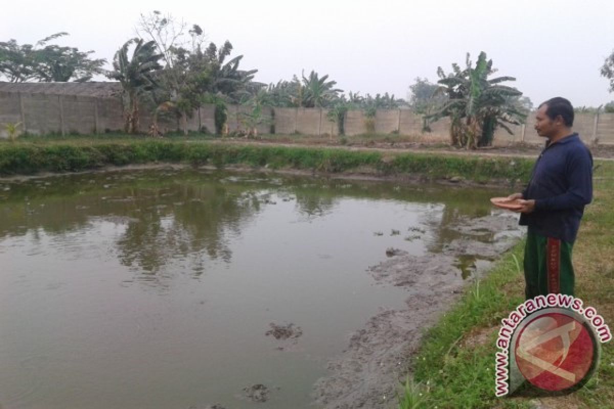 BBIL Pangkalpinang Hentikan Pemijahan Ikan Air Tawar