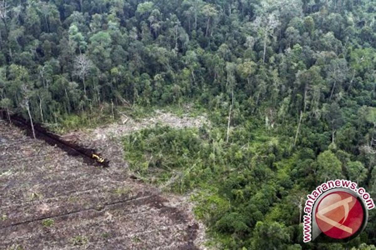 Indonesia miliki peta konservasi gambut pada 2016