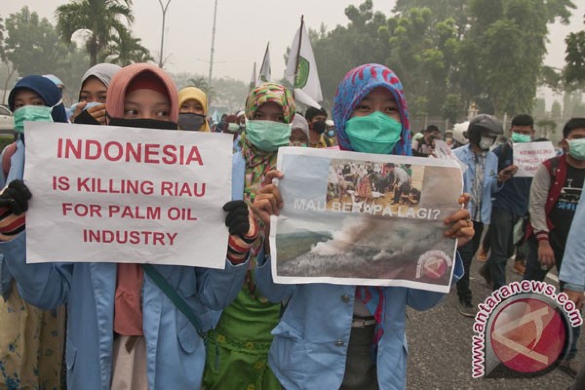 Pemerintah didesak laksanakan hasil rapat dengan BNPB