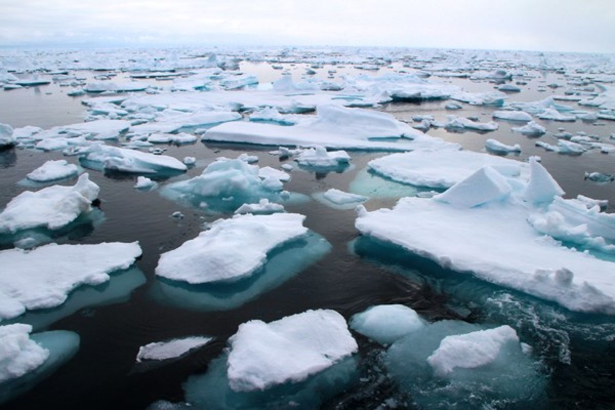 EARTH WIRE -- Climate change in Arctic may contribute to extreme cold winters