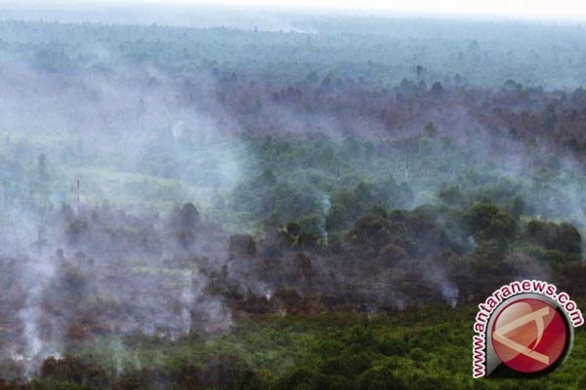 Satelit tak pantau pinus terbakar di Pidie