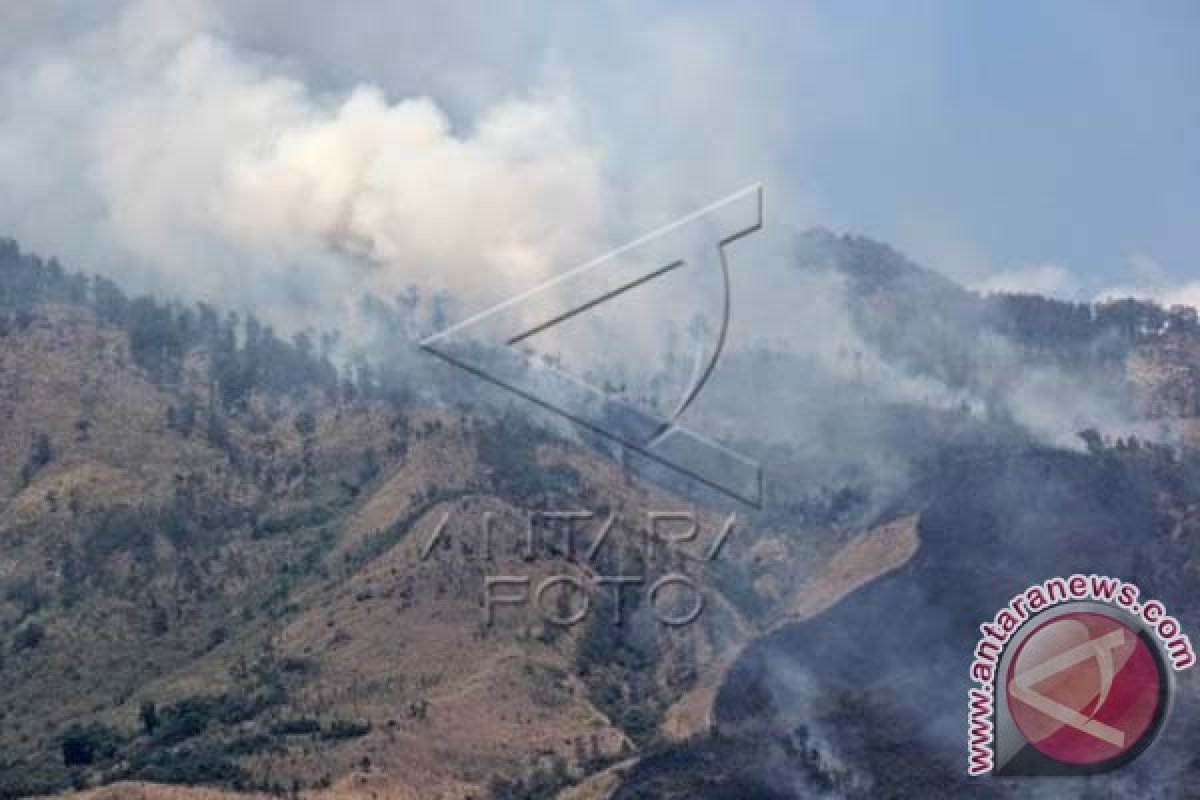 Dishut Sulsel identifikasi daerah rawan kebakaran hutan