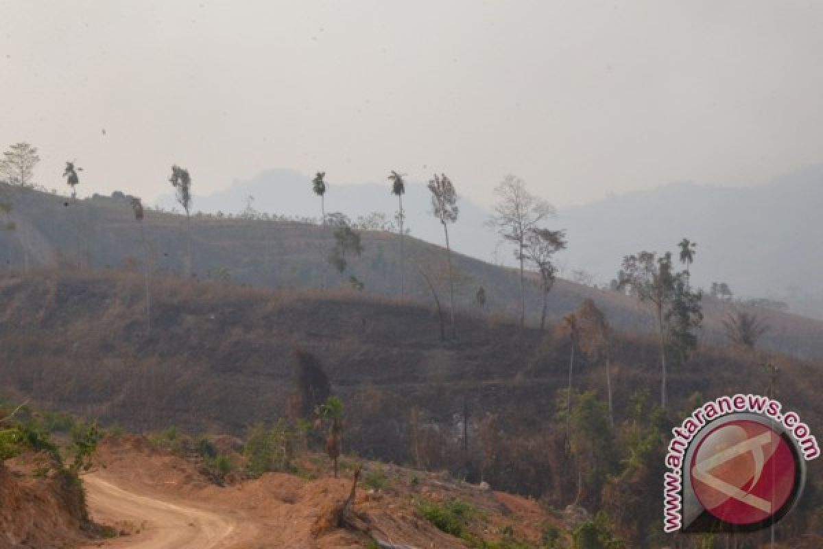 Kebakaran Lahan Di Kabupaten Gorontalo Utara Meluas