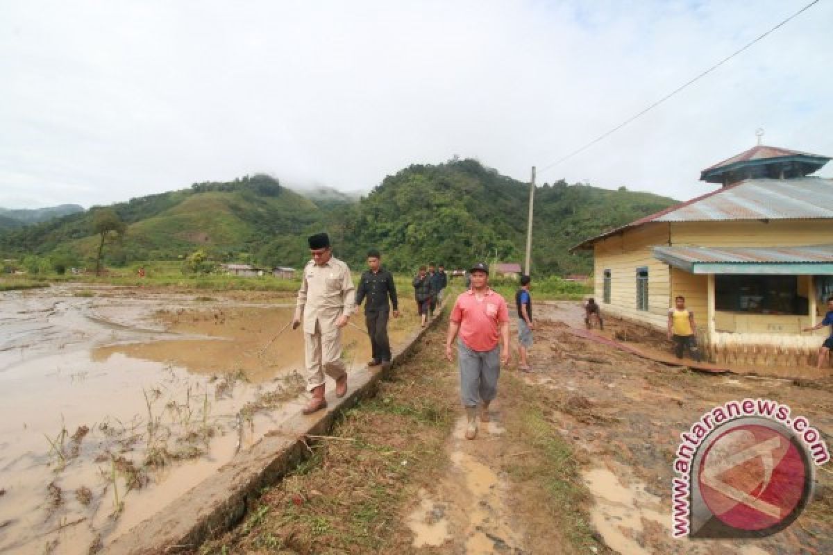 Sekitar 100 Hektare Sawah Rusak Akibat Banjir
