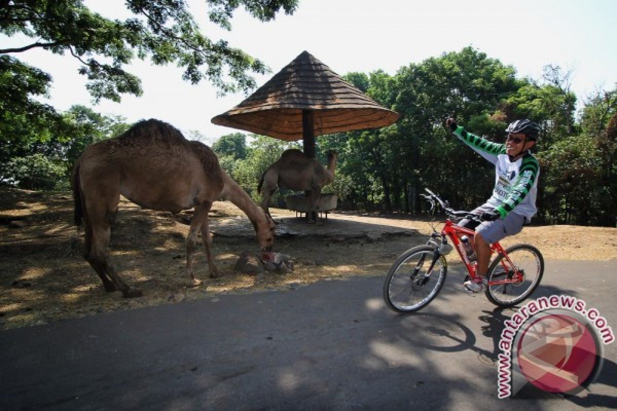 Pengunjung TSI II Prigen Pasuruan Naik