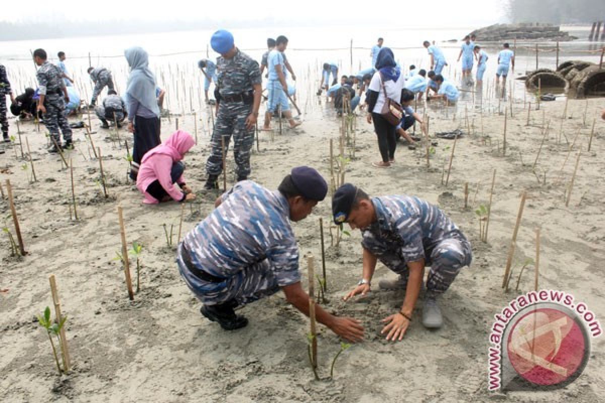 Mahasiswa Bengkulu pelajari fungsi ekosistem mangrove