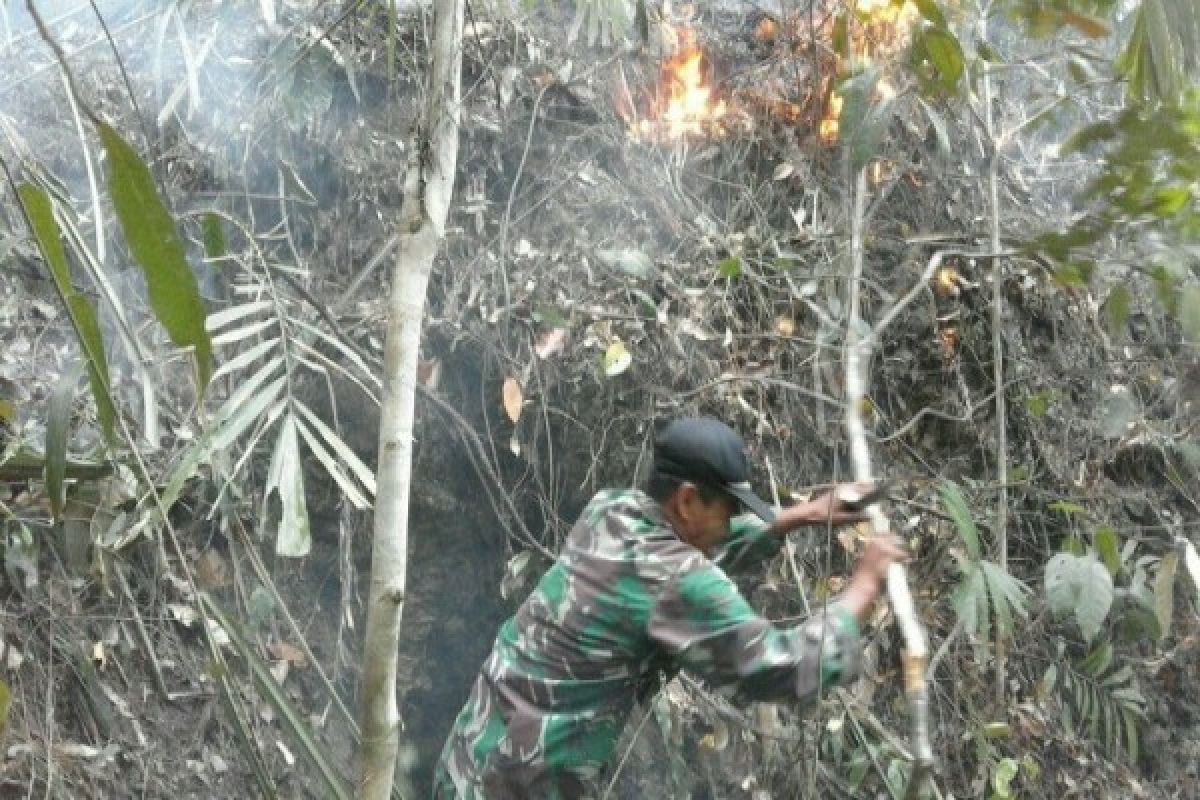 TNI dan warga padamkan kebakaran hutan di Sentani