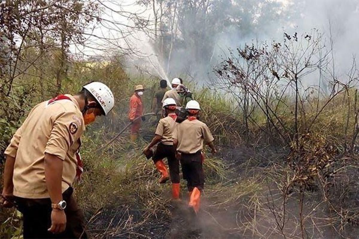 Pembakar hutan di masa pandemi dipastikan dihukum berat