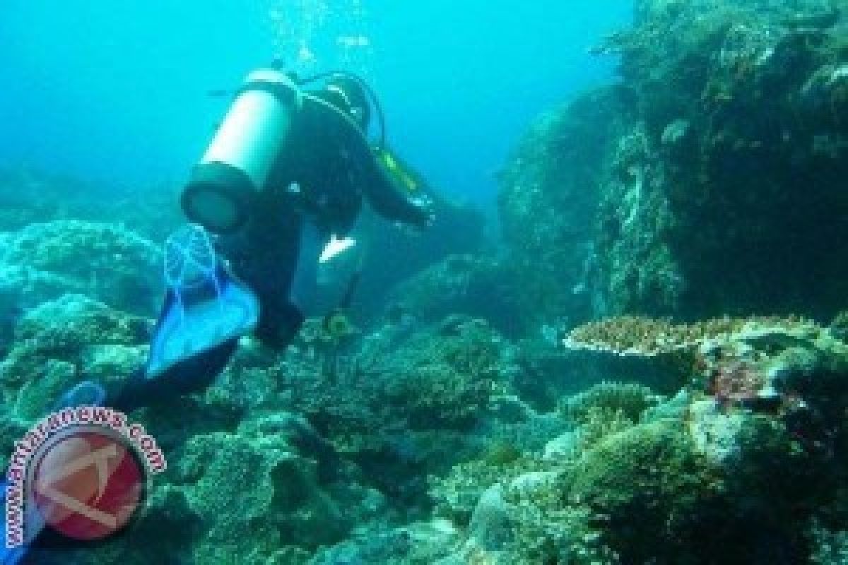 Para penyelam bersihkan sampah plastik di laut Buleleng