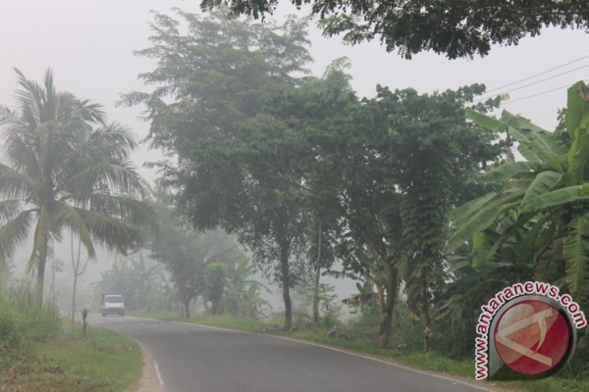 Polri Periksa 253 Pembakar Hutan 