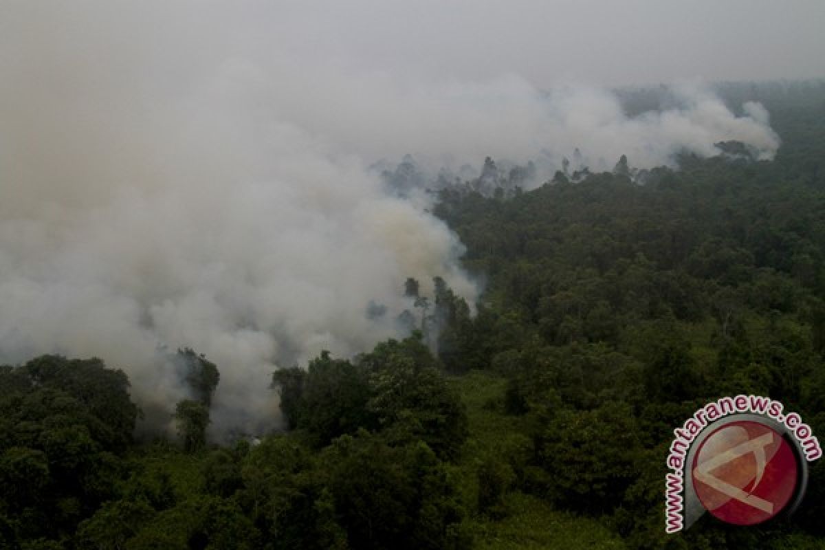 Sinar Mas miliki teknologi baru antisipasi kebakaran lahan