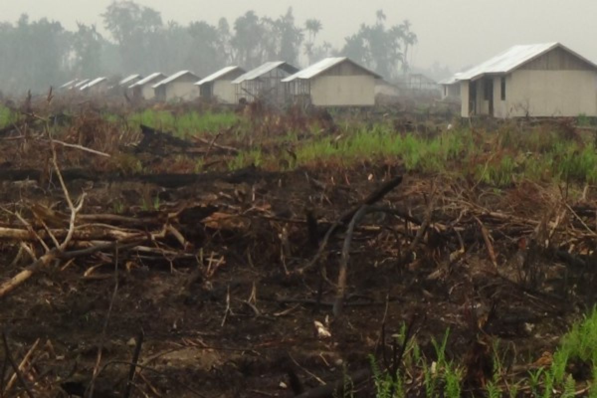 Warga transmigran minum air parit