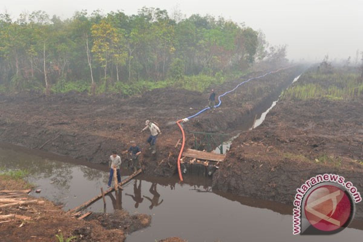 Polda Riau bangun 3.000 kanal antisipasi kebakaran lahan