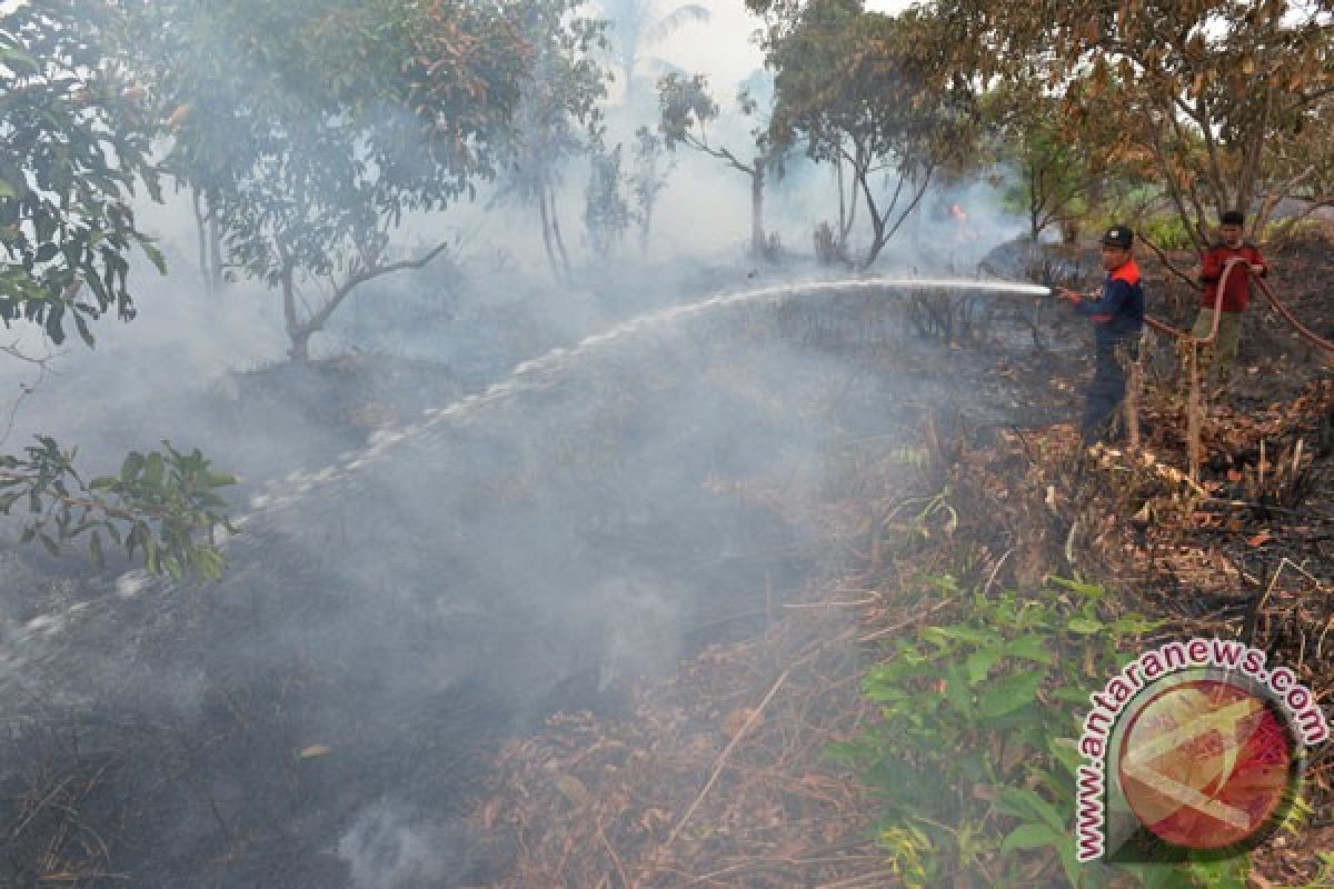 Kalbar fokuskan pencegahan kebakaran pada lahan gambut
