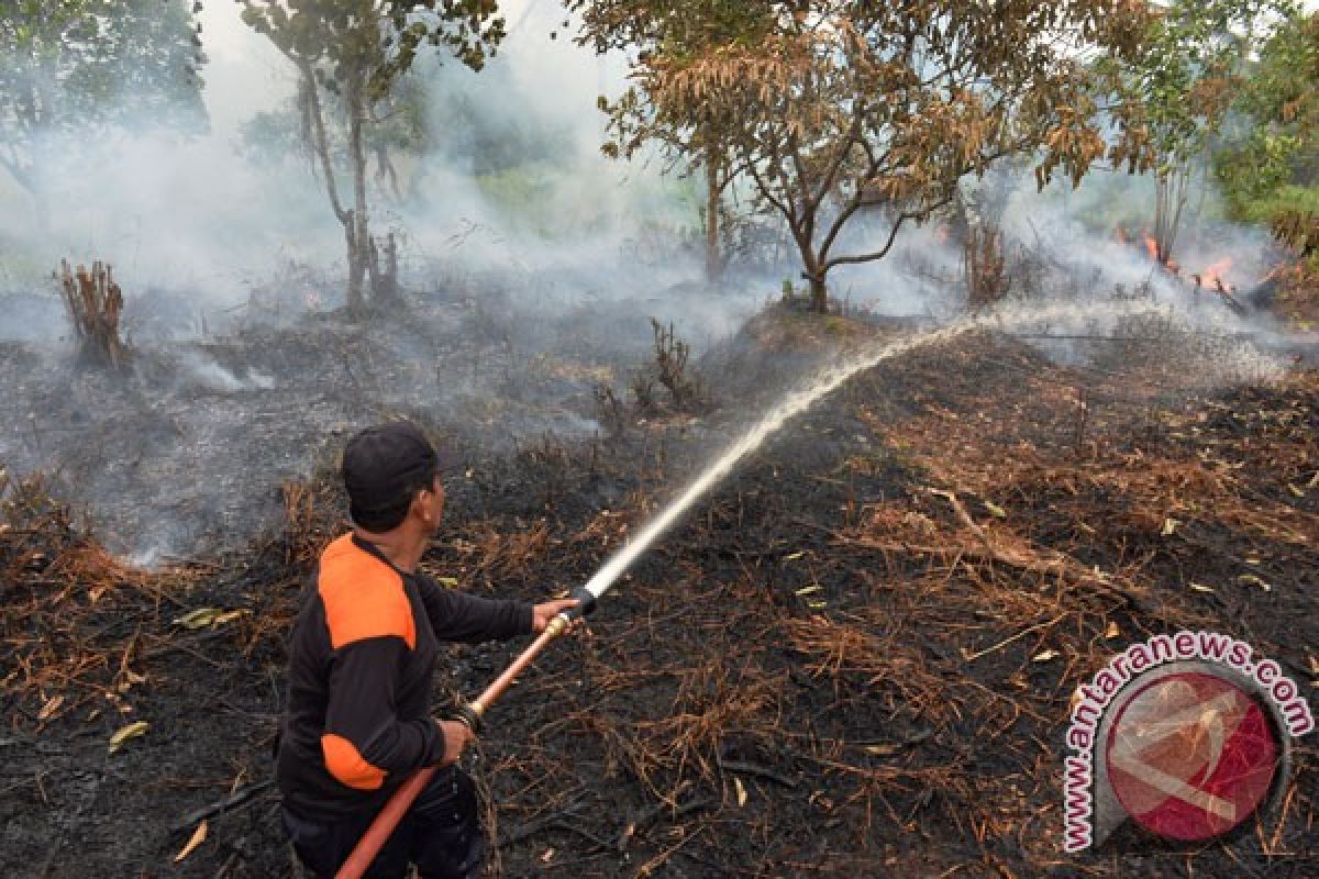 Sudah 3.532 hektare Gambut di Kotawaringin Timur terbakar