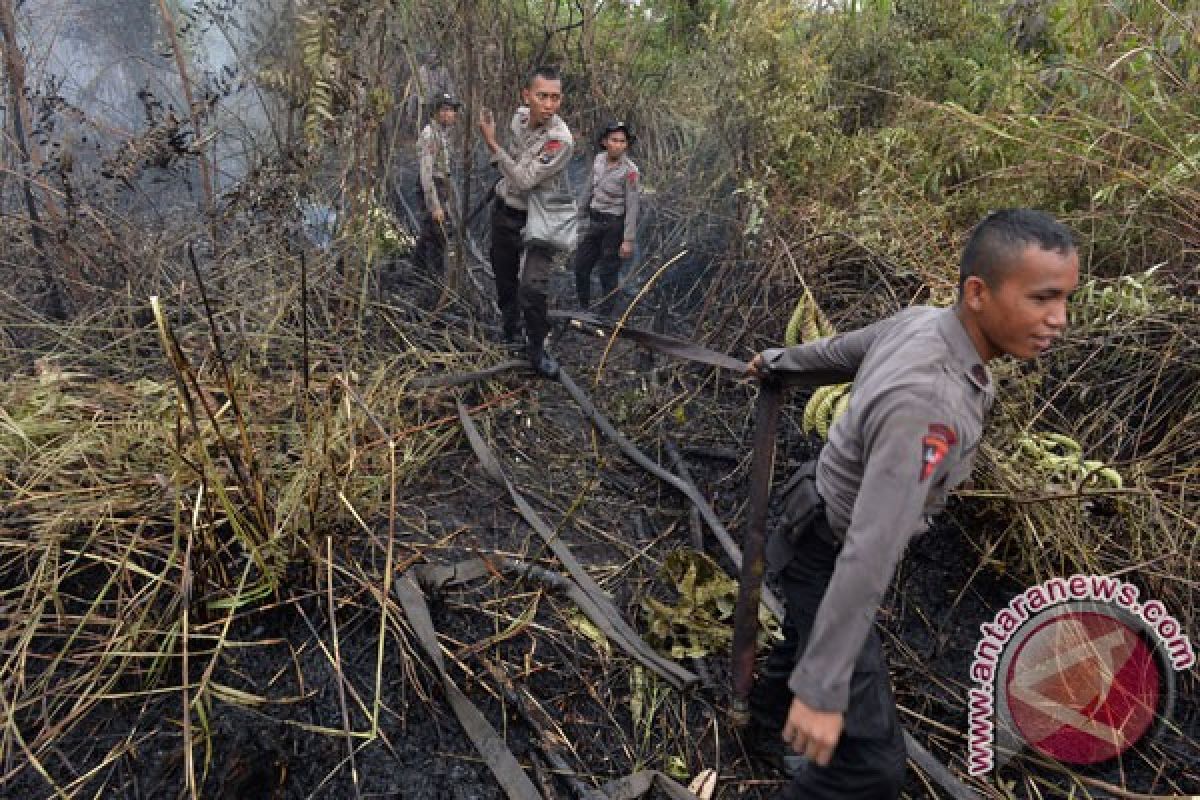 Pemerintah siapkan pembentukan Badan Restorasi Gambut